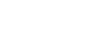 HIT NARANJA PIÑA 350ml